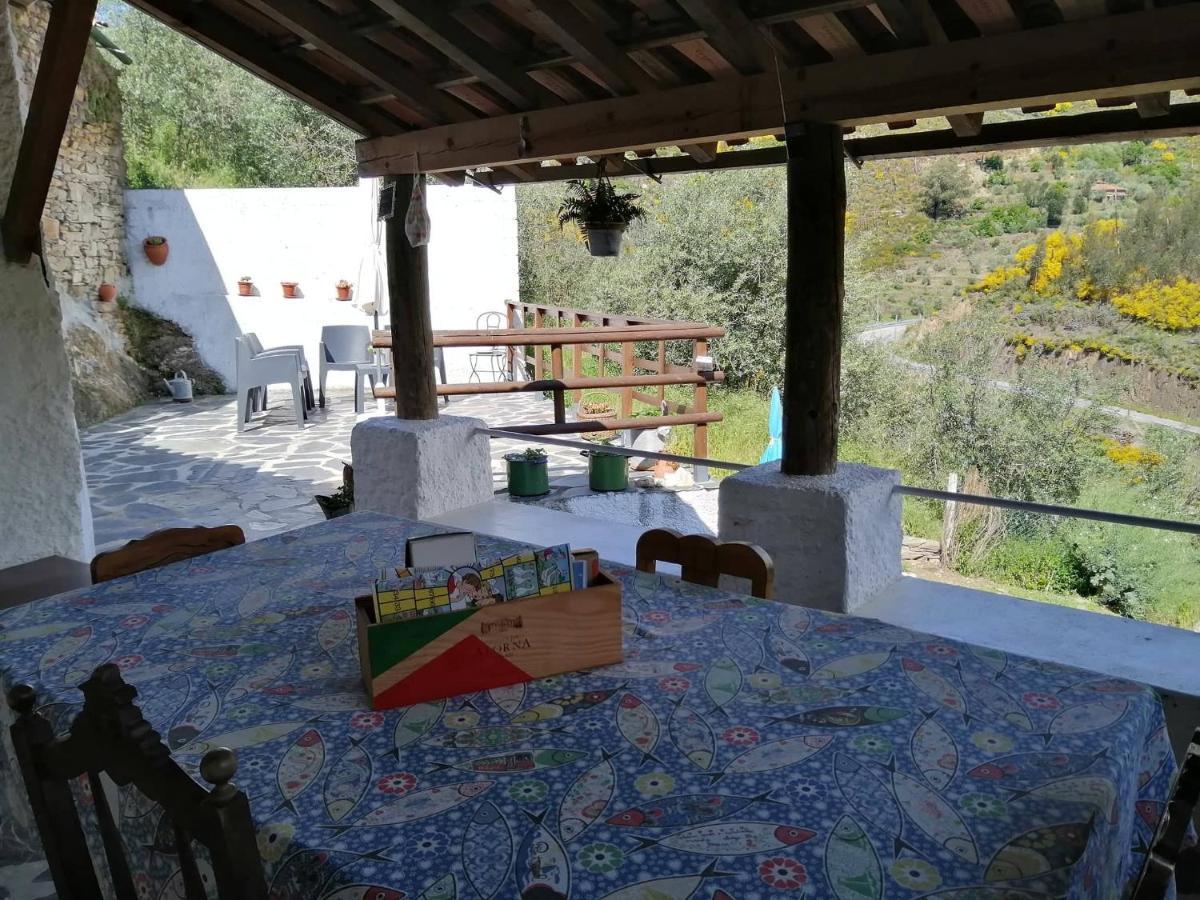 Casa Do Alto - Benfeita Bed and Breakfast Eksteriør billede